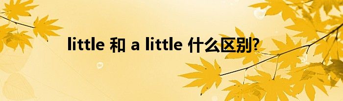 little 和 a little 什么区别?