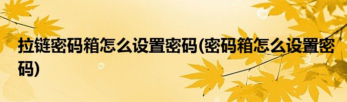 拉链密码箱怎么设置密码(密码箱怎么设置密码)
