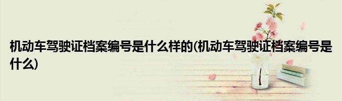 机动车驾驶证档案编号是什么样的(机动车驾驶证档案编号是什么)
