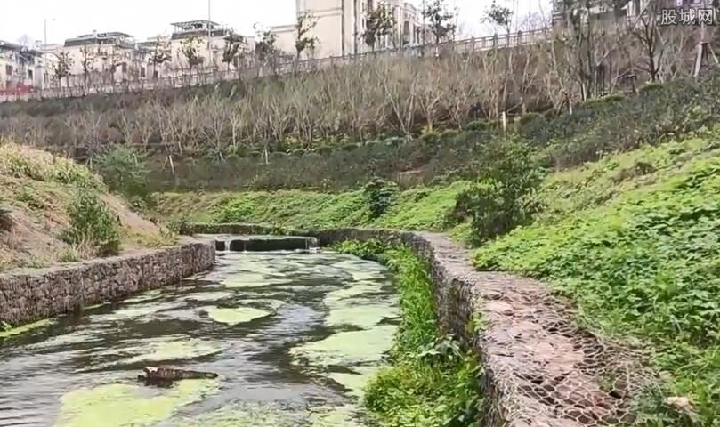 重庆市民称多地闻到刺鼻臭味 臭味哪里来的？