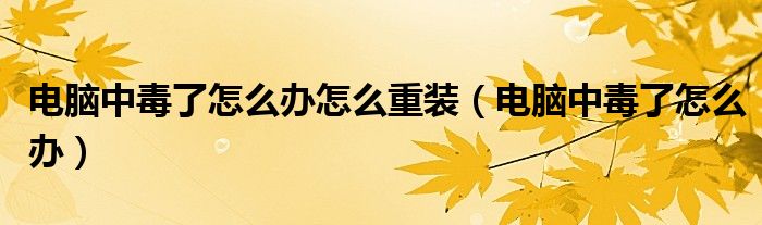 电脑中毒了怎么办怎么重装（电脑中毒了怎么办）