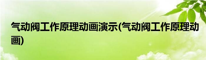 气动阀工作原理动画演示(气动阀工作原理动画)