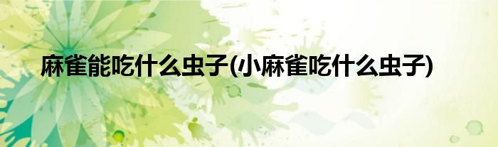 麻雀能吃什么虫子(小麻雀吃什么虫子)