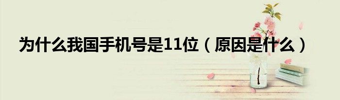 为什么我国手机号是11位（原因是什么）