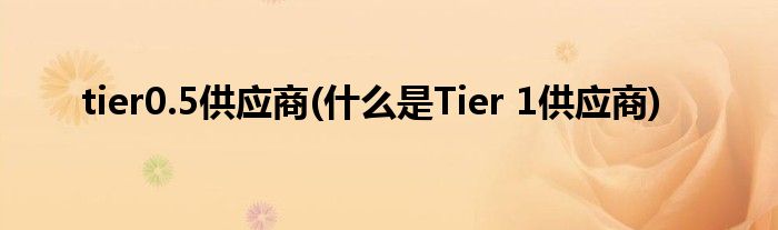 tier0.5供应商(什么是Tier 1供应商)