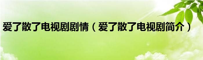 爱了散了电视剧剧情（爱了散了电视剧简介）