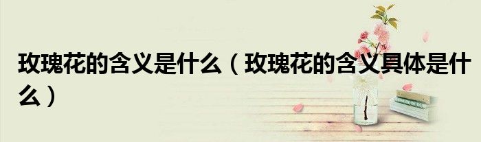 玫瑰花的含义是什么（玫瑰花的含义具体是什么）