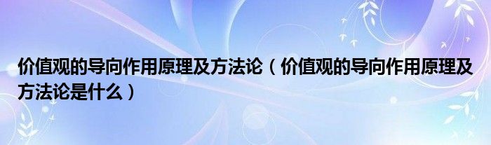 价值观的导向作用原理及方法论（价值观的导向作用原理及方法论是什么）