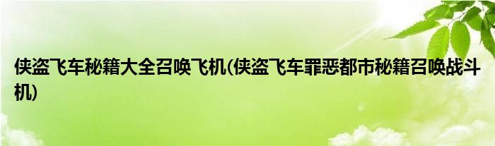 侠盗飞车秘籍大全召唤飞机(侠盗飞车罪恶都市秘籍召唤战斗机)