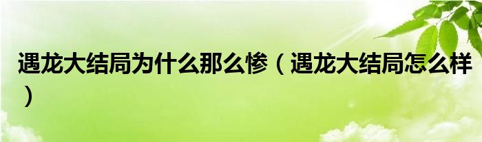 遇龙大结局为什么那么惨（遇龙大结局怎么样）