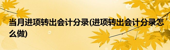 当月进项转出会计分录(进项转出会计分录怎么做)