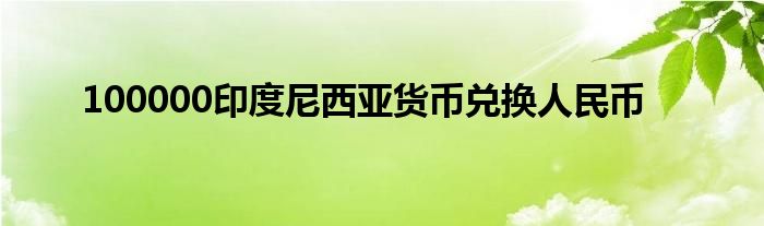 100000印度尼西亚货币兑换人民币