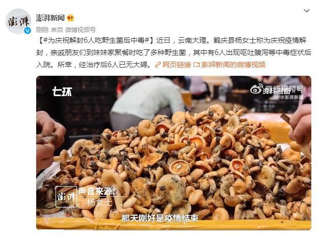 云南大理：为庆祝解封6人吃野生菌中毒乐极生悲