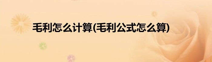 毛利怎么计算(毛利公式怎么算)