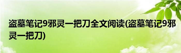 盗墓笔记9邪灵一把刀全文阅读(盗墓笔记9邪灵一把刀)
