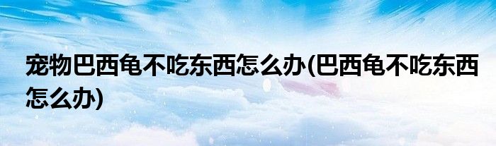 宠物巴西龟不吃东西怎么办(巴西龟不吃东西怎么办)