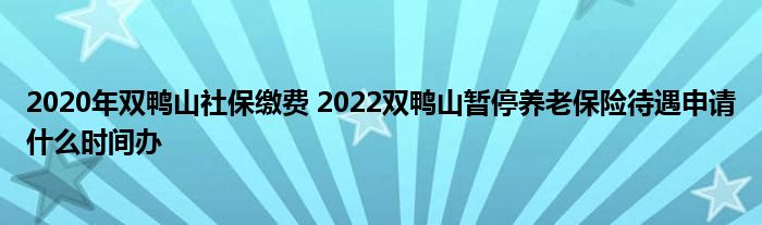 2020年双鸭山社保缴费 2022双鸭山暂停养老保险待遇申请什么时间办