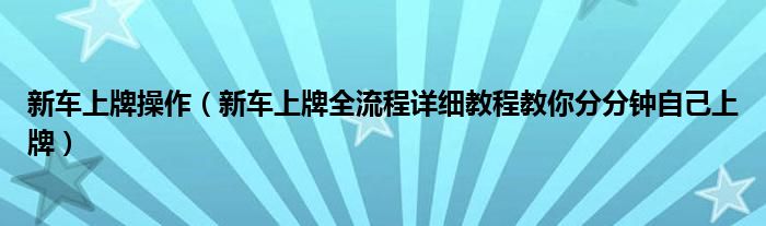新车上牌操作（新车上牌全流程详细教程教你分分钟自己上牌）