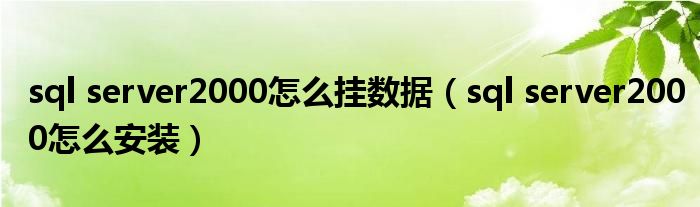 sql server2000怎么挂数据（sql server2000怎么安装）