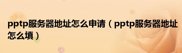 pptp服务器地址怎么申请（pptp服务器地址怎么填）