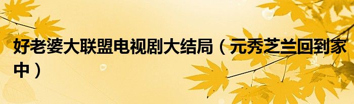 好老婆大联盟电视剧大结局（元秀芝兰回到家中）