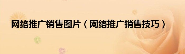 网络推广销售图片（网络推广销售技巧）