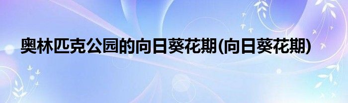 奥林匹克公园的向日葵花期(向日葵花期)