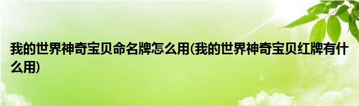 我的世界神奇宝贝命怎么用(我的世界神奇宝贝红牌有什么用)