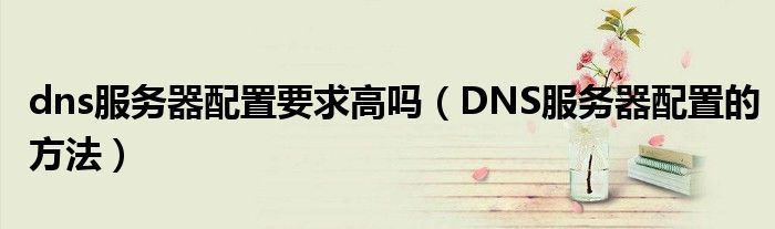dns服务器配置要求高吗（DNS服务器配置的方法）
