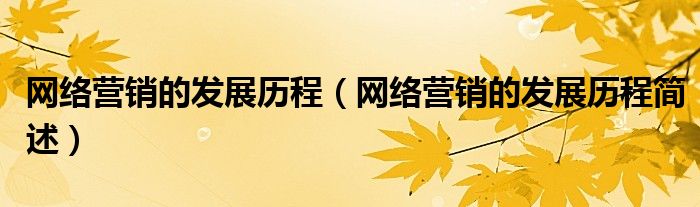 网络营销的发展历程（网络营销的发展历程简述）
