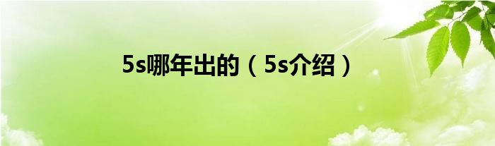 5s哪年出的（5s介绍）