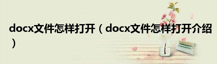 docx文件怎样打开（docx文件怎样打开介绍）
