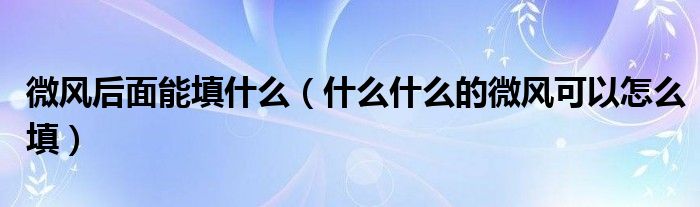微风后面能填什么（什么什么的微风可以怎么填）