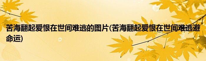 苦海翻起爱恨在世间难逃的图片(苦海翻起爱恨在世间难逃避命运)