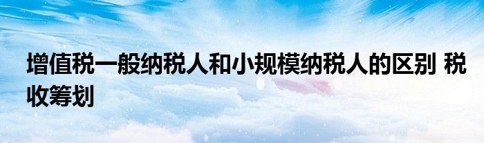 增值税一般纳税人和小规模纳税人的区别 税收筹划