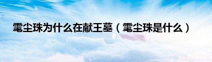 雮尘珠为什么在献王墓（雮尘珠是什么）
