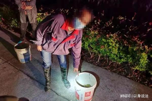 上海夫妻抓121只蛤蟆刮蟾酥被群众举报，因涉嫌非法狩猎被刑拘
