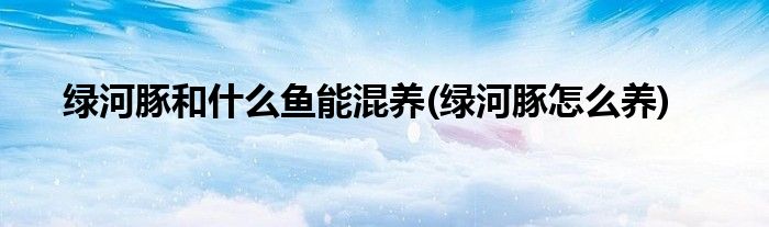 绿河豚和什么鱼能混养(绿河豚怎么养)