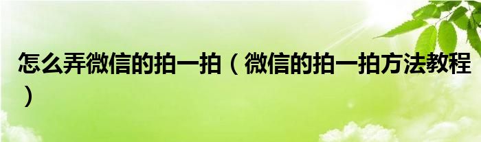 怎么弄微信的拍一拍（微信的拍一拍方法教程）