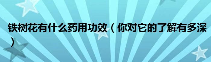 铁树花有什么药用功效（你对它的了解有多深）