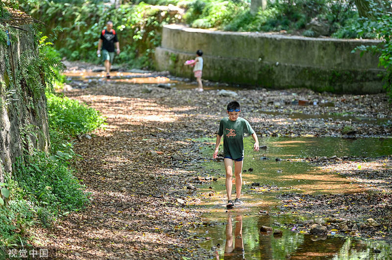 杭州连续5天超40℃，破连续高温日数纪录又破更高低温纪录