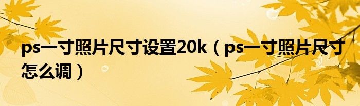 ps一寸照片尺寸设置20k（ps一寸照片尺寸怎么调）