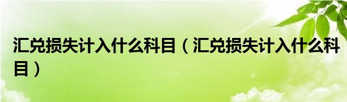 汇兑损失计入什么科目（汇兑损失计入什么科目）