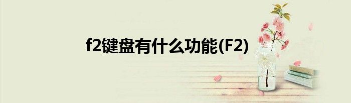 f2键盘有什么功能(F2)