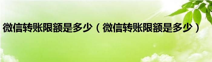 微信转账限额是多少（微信转账限额是多少）