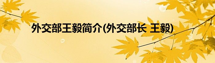 外交部王毅简介(外交部长 王毅)