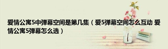 爱情公寓5中弹幕空间是第几集（爱5弹幕空间怎么互动 爱情公寓5弹幕怎么选）