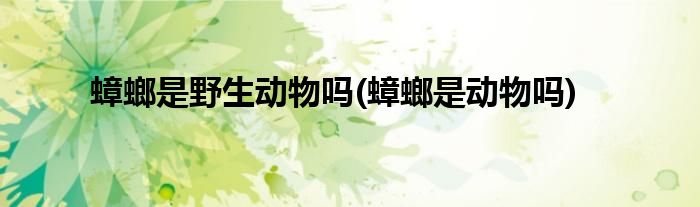 蟑螂是野生动物吗(蟑螂是动物吗)