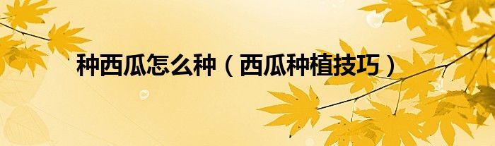 种西瓜怎么种（西瓜种植技巧）
