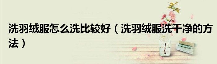 洗羽绒服怎么洗比较好（洗羽绒服洗干净的方法）